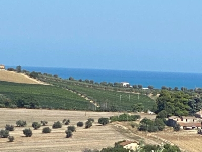 immagine annuncio 1 di 9