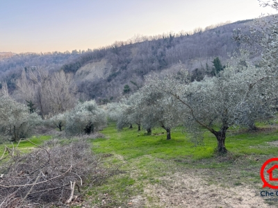 immagine annuncio 2 di 8