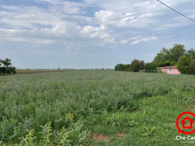 immagine annuncio 4 di 6