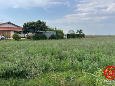 immagine annuncio 6 di 8