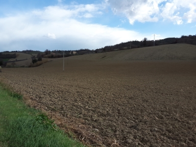 immagine annuncio 4 di 8