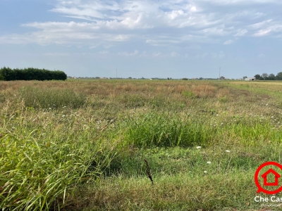 immagine annuncio 1 di 6