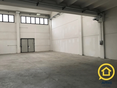 immagine annuncio 5 di 9