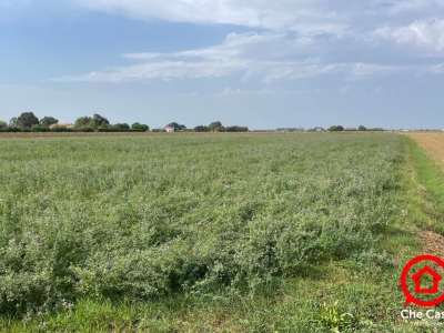 immagine annuncio 4 di 8