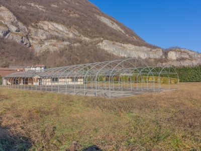 immagine annuncio 6 di 9