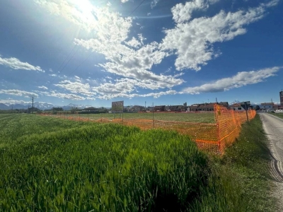 immagine annuncio 5 di 9