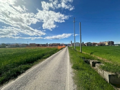 immagine annuncio 3 di 9