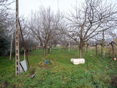 immagine annuncio 2 di 6