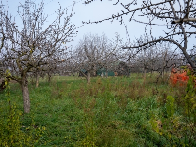 immagine annuncio 4 di 6