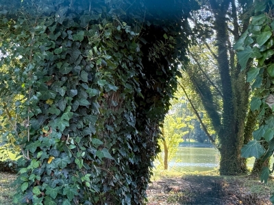 immagine annuncio 7 di 9