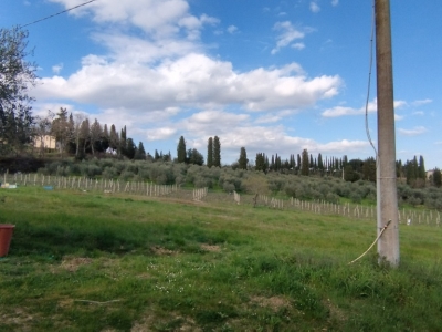 immagine annuncio 3 di 8