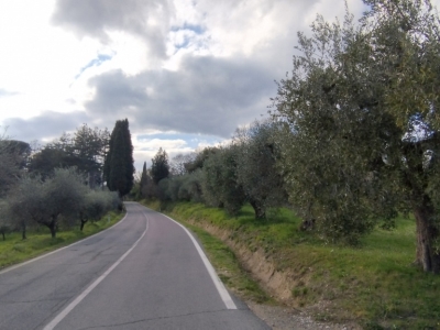 immagine annuncio 4 di 8