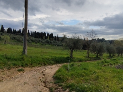 immagine annuncio 1 di 8