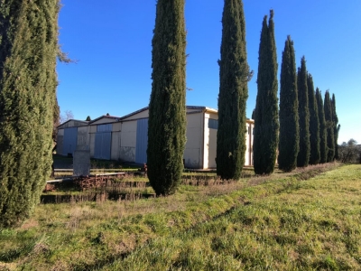 immagine annuncio 3 di 9