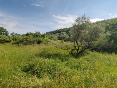 immagine annuncio 5 di 9