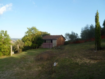 immagine annuncio 4 di 9