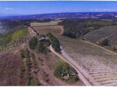 immagine annuncio 1 di 6