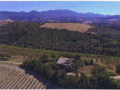 immagine annuncio 2 di 6