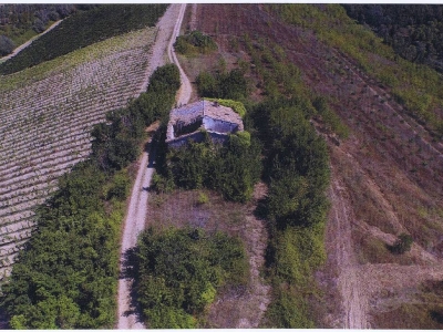 immagine annuncio 4 di 6