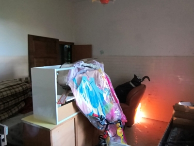 immagine annuncio 6 di 9