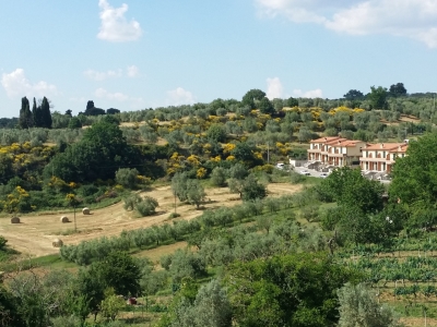 immagine annuncio 6 di 9