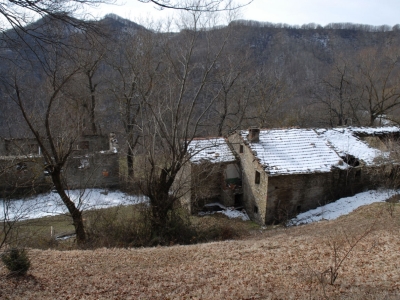 immagine annuncio 5 di 9