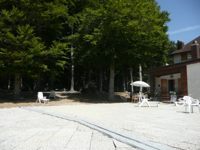 immagine annuncio 2 di 9