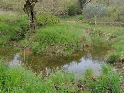 immagine annuncio 5 di 8