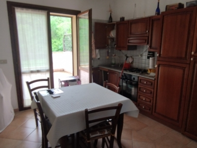 immagine annuncio 4 di 9