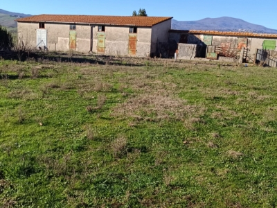 immagine annuncio 2 di 9