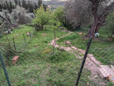 immagine annuncio 5 di 9