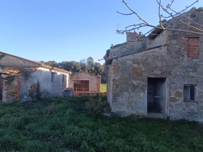 immagine annuncio 4 di 6