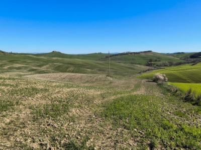 immagine annuncio 8 di 9