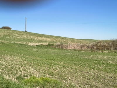 immagine annuncio 3 di 9