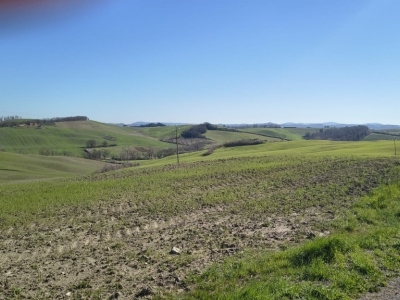 immagine annuncio 4 di 9