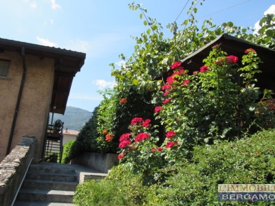immagine annuncio 4 di 9