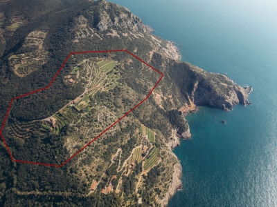 immagine annuncio 1 di 9