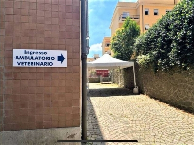 immagine annuncio 4 di 8