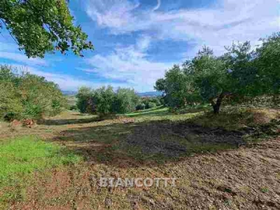 immagine annuncio 5 di 9