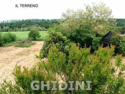 immagine annuncio 6 di 9
