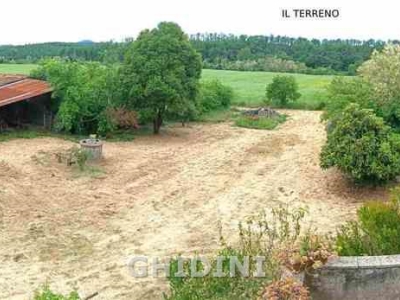 immagine annuncio 7 di 9
