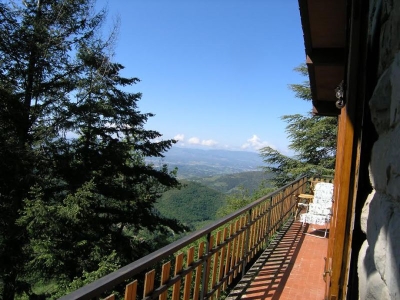 immagine annuncio 4 di 9