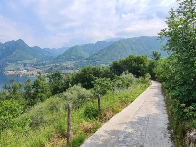 immagine annuncio 3 di 8