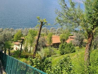 immagine annuncio 4 di 9