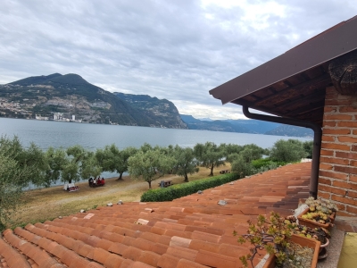 immagine annuncio 6 di 9