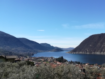 immagine annuncio 1 di 9