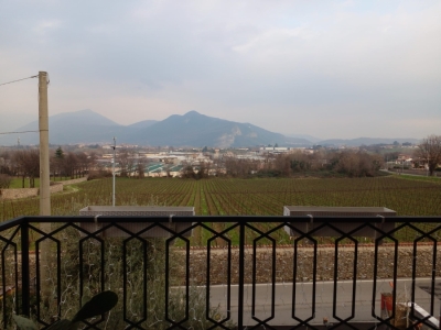 immagine annuncio 7 di 9