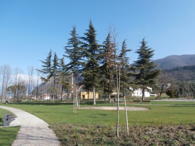 immagine annuncio 5 di 8
