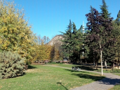 immagine annuncio 7 di 8