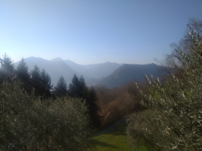 immagine annuncio 5 di 9